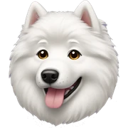 Samoyed  sticker