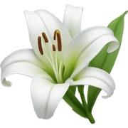 Lily sticker