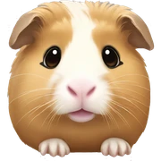 beige Guinea pig sticker