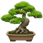 Bonsai sticker