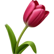 tulip sticker