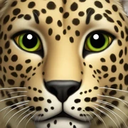 Leopard sticker