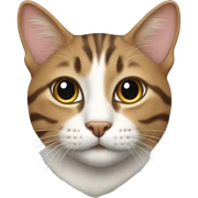 tabby colored cat sticker