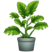 plants sticker