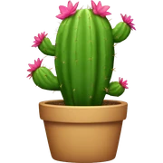 CACTUS sticker