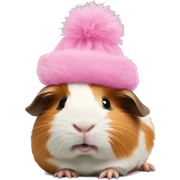 guinea pig with pink fluffy hat on sticker