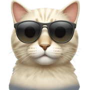 Cat with sunglasses sticker