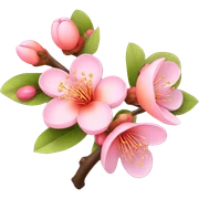 peach blossom sticker