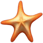 Seastar sticker