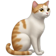 Cats sticker