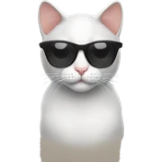 Cat with sunglasses sticker