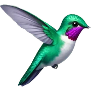 Hummingbird  sticker