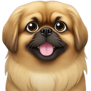 Pekingese sticker