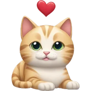 cat with heart sticker