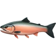 salmon sticker