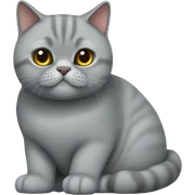 British shorthair cat sticker