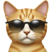 Cat with sunglasses sticker