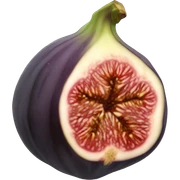 Fig sticker