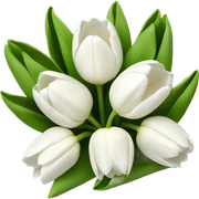 White Tulips sticker