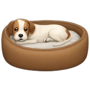 dog bed sticker