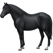 black horse sticker