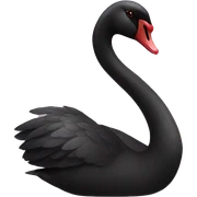 Black swan sticker