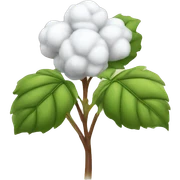 cotton plant sticker