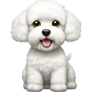 bichon sticker