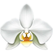 White orchid sticker
