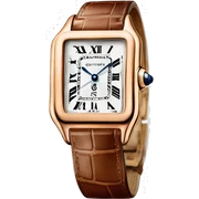 Cartier-santos-dumont-Watch sticker