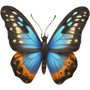 butterfly sticker