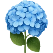 blue hydrangea flower sticker