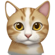 Cat sticker