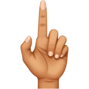 Middle finger sticker