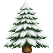  actual white fir christmas tree isolated.  sticker