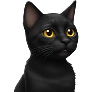 black cat sticker