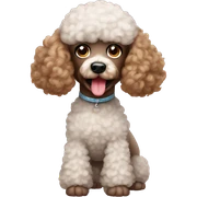 Poodle  sticker