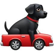 Black dog with red car sticker