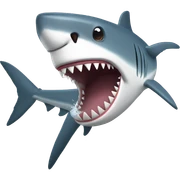 Shark sticker