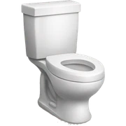 Toilet  sticker