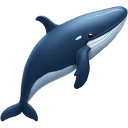 Whale sticker