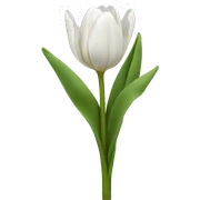 White tulips sticker