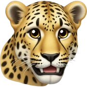 Leopar kalp sticker