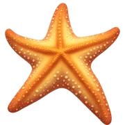 Starfish sticker
