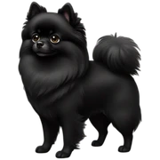 Black Pomeranian  sticker