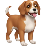 pet sticker