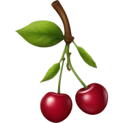 Cherry  sticker