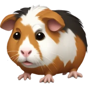 Sick Guinea pig  sticker