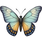 butterfly sticker