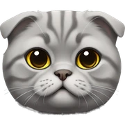 Gray Scottish fold sitting sticker